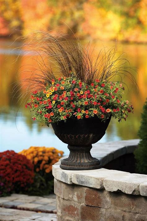 Simple Container Garden Flowers Ideas22 Fall Container Gardens