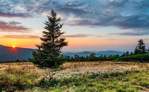 19 reviews of roan mountain state park i'm specifically reviewing the roan mountain high bluff trail (part of the appalachian trail), which is 8 miles past the park on highway 143. Roan Mountain State Park Motorcylce Tour | Ride The Smokies