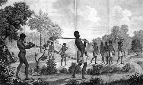 Slaves Being Moved To The Coast Of Africa Destined For St Domingue Later Re Named Haiti 1786