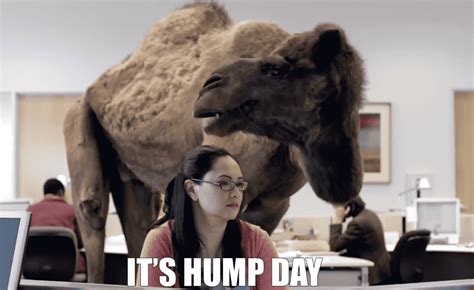 Hump Day IceGif