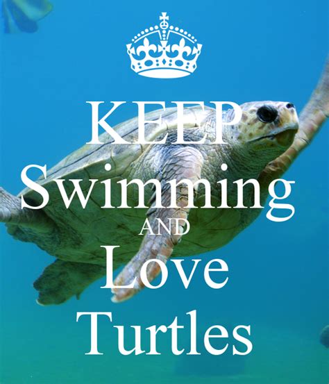 Keep Swimming And Love Turtles Poster Azaria Hastings Keep Calm O Matic