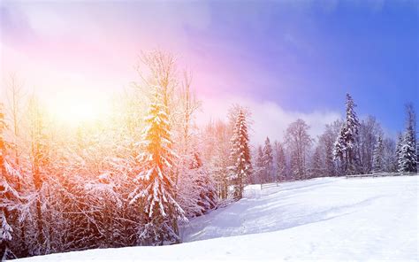 Winter Sunny Wallpapers Wallpaper Cave