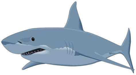 Shark Attack Great Camp Games Elsa Coloring Pages Shark Drawing