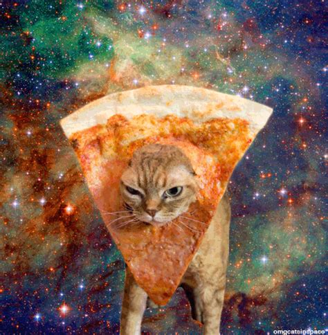 Another Pizza Cat In Space Whoa Cat Pizza Space Animation