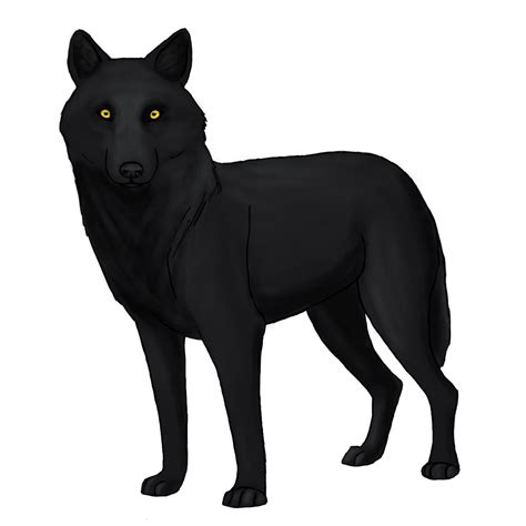 Black Wolf By Coyote Pro On Deviantart