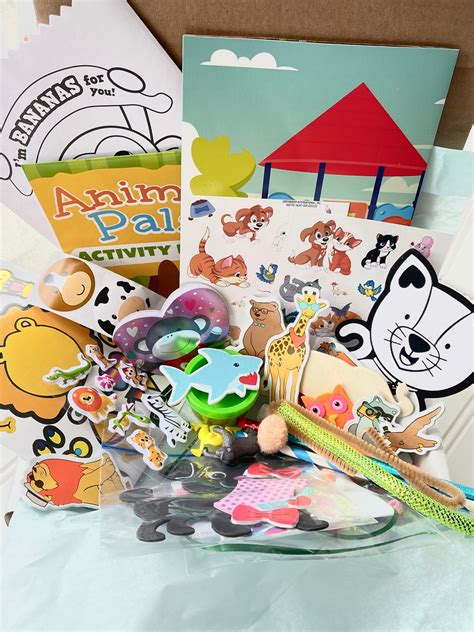 Animal Fun Box For Kids Kids Activity Box Kids Birthday T Etsy