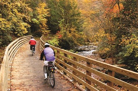 Top 10 Charlottesville Mountain Biking Trails I Love Cville