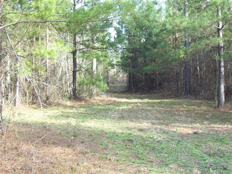 Hunting Land For Sale In South Georgia 3 Agri Land Realty Llc