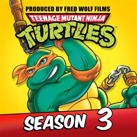 Teenage Mutant Ninja Turtles Classic Series Season 3 Release Date