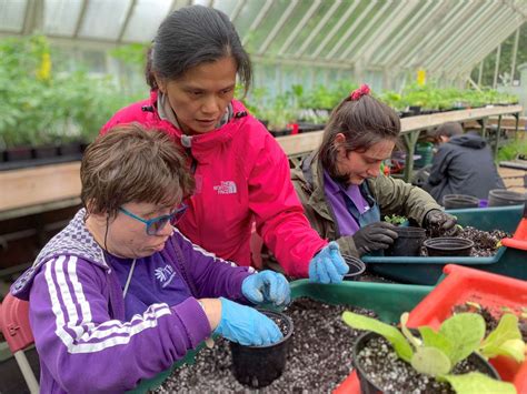 Therapeutic Benefits Of Gardening Can Help You Thrive