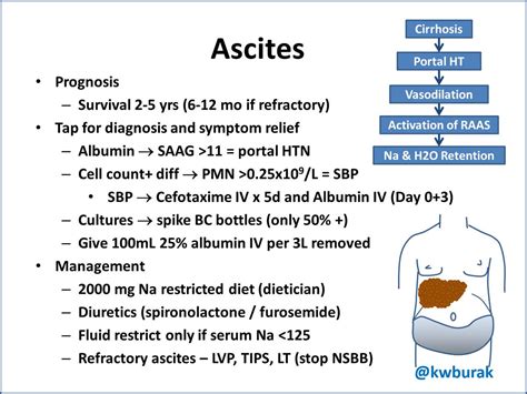 Liver Cirrhosis With Ascites