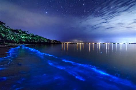 Bioluminescent Bay Tour Rincon Puerto Rico Vacations