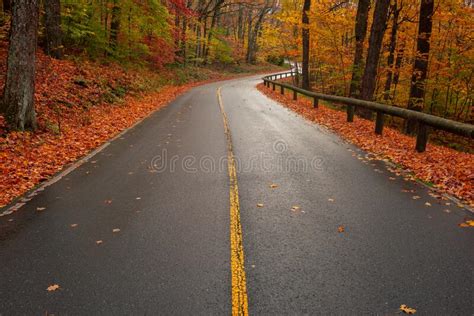 Fall Road With In Autumn Foliage Through Forest With Leaves On Ground