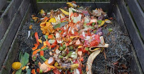 Cómo Hacer Compost Con Residuos Orgánicos Hablando En Vidrio
