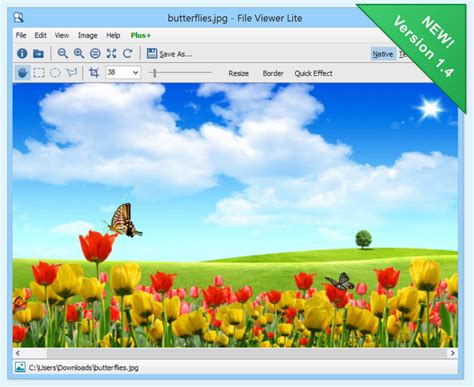 File Viewer Lite For Windows View Any File On Your