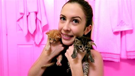 Saving Newborn Kittens Youtube