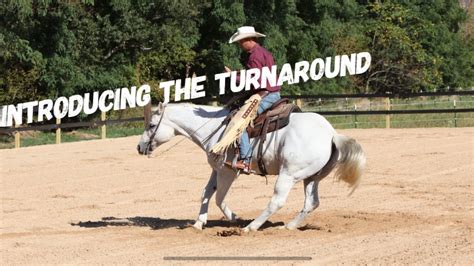 How To Introduce Your Horse To The Turnaround Youtube