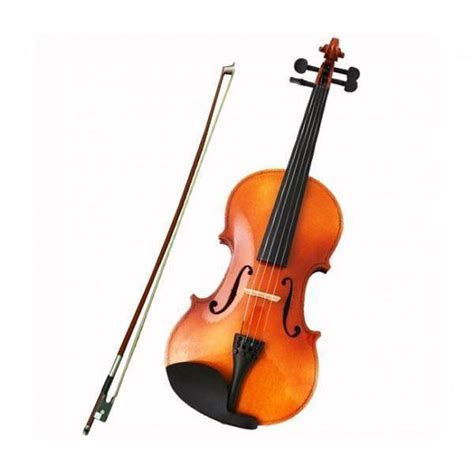 Violin Amadeus 44 Con Estuche Y Arco