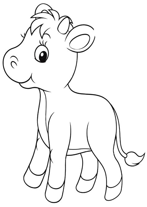calf coloring pages    print