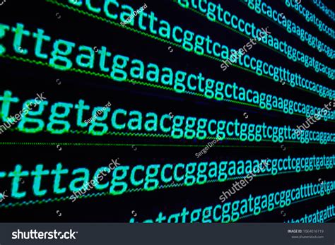 Dna Sequencing Sequence Nucleotide Bases Gene Stock Photo 1064016119