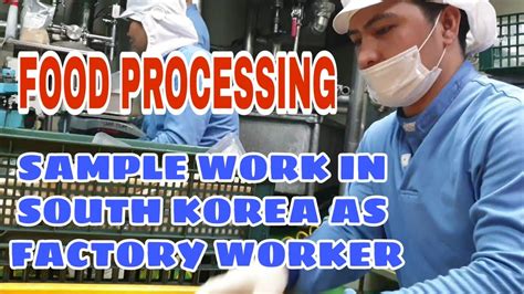 Sample Work In South Korea As A Factory Worker Food Processing Youtube