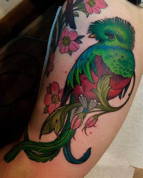 quetzal bird tattoo inspiration modification