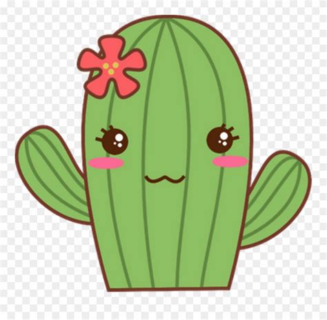 Transparent Cactus Cartoon Image