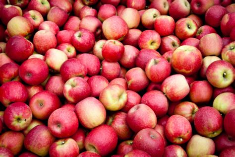 Lots Of Apples Stock Photo Download Image Now Istock
