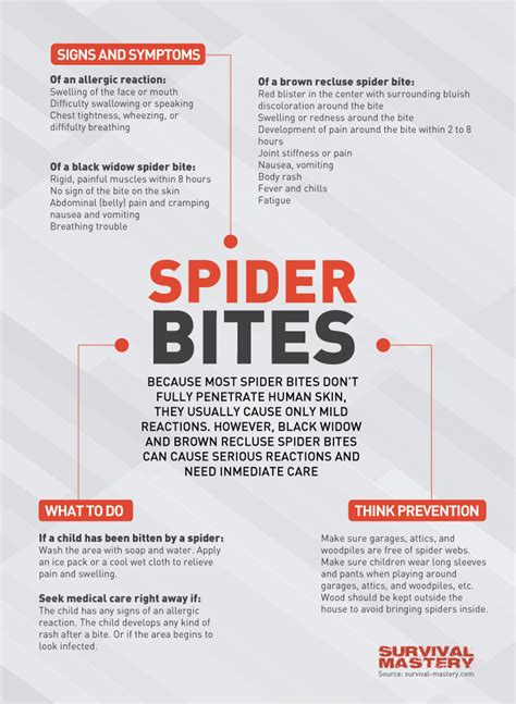 Spider Bites Treatment Emergency And Preventative Care