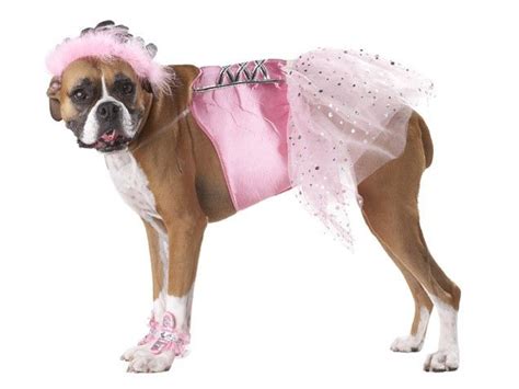 Happy Howl Oween 50 Of Our Favorite Dog Costumes Boxer And Baby Boxer