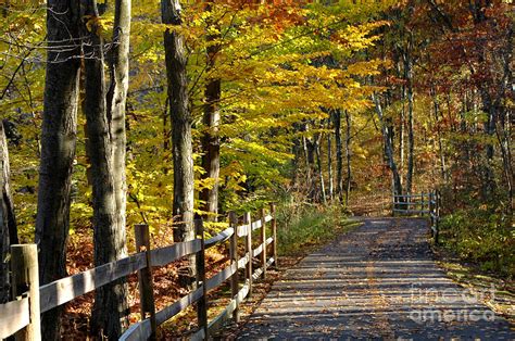 Autumn Pathway 2 Photograph By Mike Nellums Fine Art America