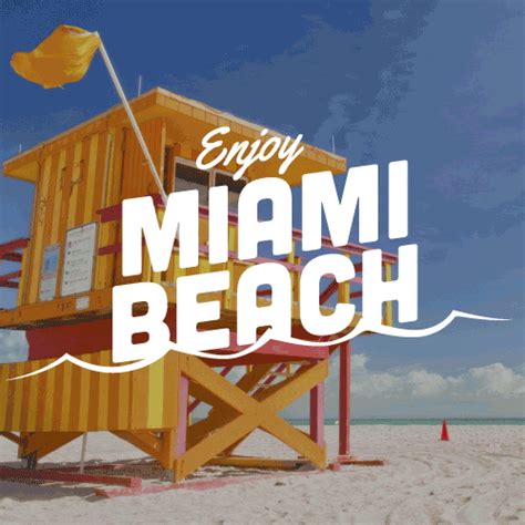 Miami Beach Lemonly Infographics