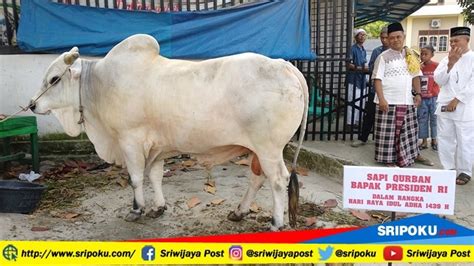 Ada yang Manja sampai Sensitif dan Setiap Makan Menghadap ke Utara, Ini