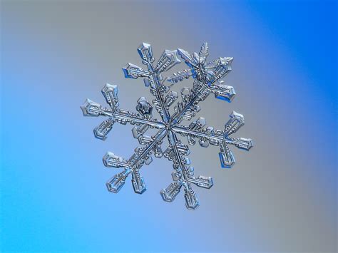 Terminal frost — Three-in-one, real snowflake macro photo Prints...