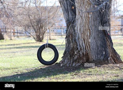 Tire Swing Is Hanging To Tree Hi Res Stock Photography And Images Alamy