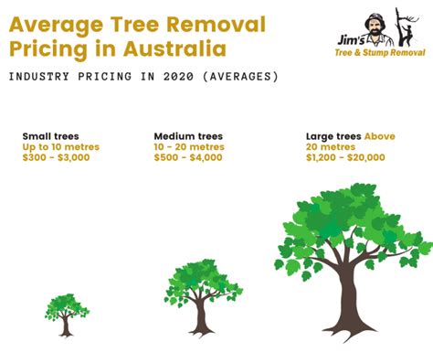 Tree Removal Cost And Pricing In 2023 Jims Trees