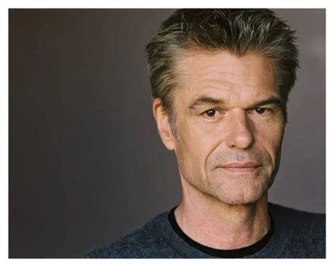 Harry Hamlin Talks About How Lisa Rinnas Honesty Landed Her In Trouble