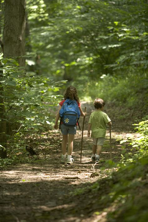 Free Photograph Children Hiking Forest