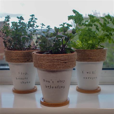 Diy Painted Terracotta Plant Pots With Herb Puns Mum In The Madhouse