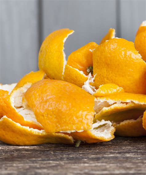 Using Orange Peel To Deter Pests For Good Homes And Gardens