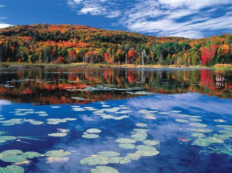 Every Fall The Québec City Area Comes Alive In An Amazing Blaze Of