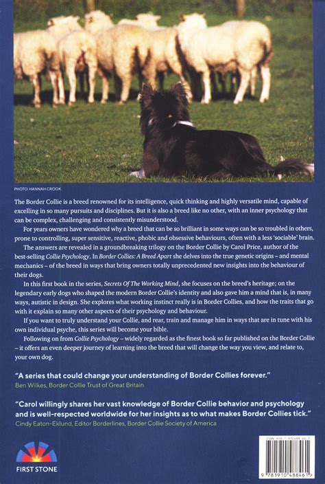 Border Collies A Breed Apart Secrets Of The Working Mind Dogwise