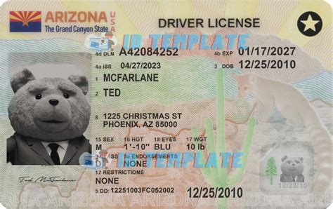 Arizona Driver License Psd Template New 1200dpi