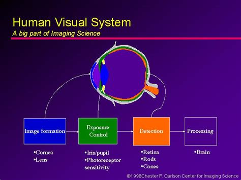 Human Visual System Va Big Part Of Imaging Science