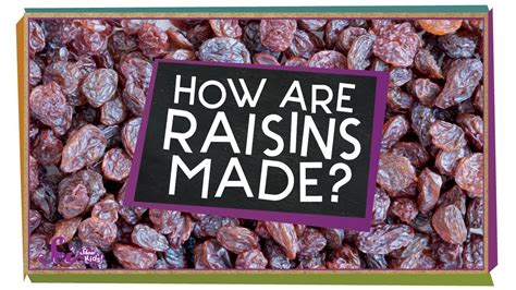 How Are Raisins Made Youtube