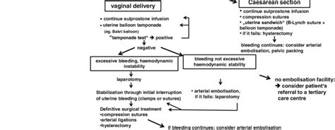 Treatment Algorithm If Bleeding Continues Due To Uterine Atony After Download Scientific