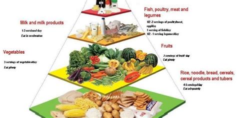 Maybe you would like to learn more about one of these? Malaysian Food Pyramid - PORTAL MyHEALTH