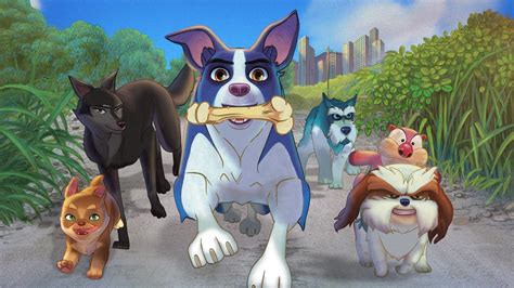 Well, we were pleasantly surprised to see a new dog movie that just came out. A DOG'S COURAGE (2020) - Official Movie Site - Watch Online