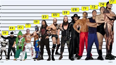 WWE Wrestler Height Super Stars Comparison YouTube