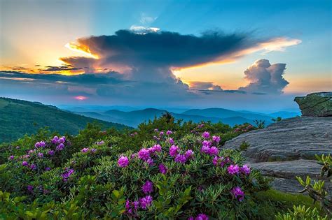 Spring In Mountains Rhododendron Clouds View Flowers Sky